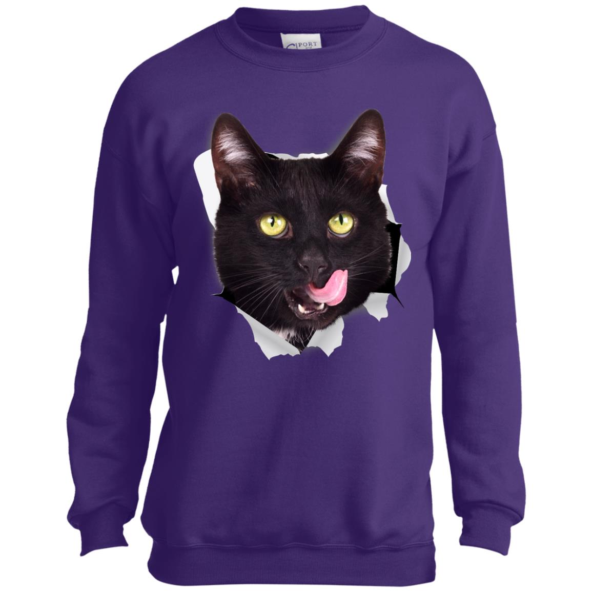 Black cat shop two tone sweatshirt